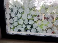 Folie geam autoadezivă cu model frunze albe pe fundal transparent, rolă de 75x200 cm